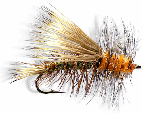 Stimulator - Olive
#6-18