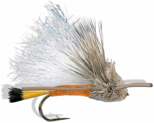 Tarantula - Orange
#4-12