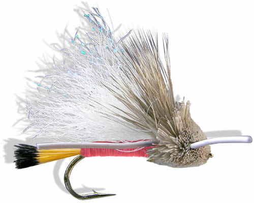 Tarantula - Red
#6-12
