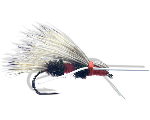 Swisher's Madam x - Royal
#8-10