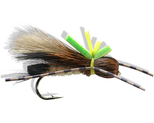Oswald's Rastaman Skwalla
#8-12