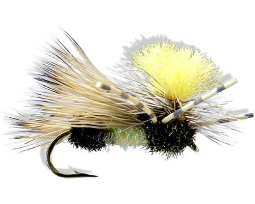 Swisher Spckld PMX- Royal Yellow
#6-12