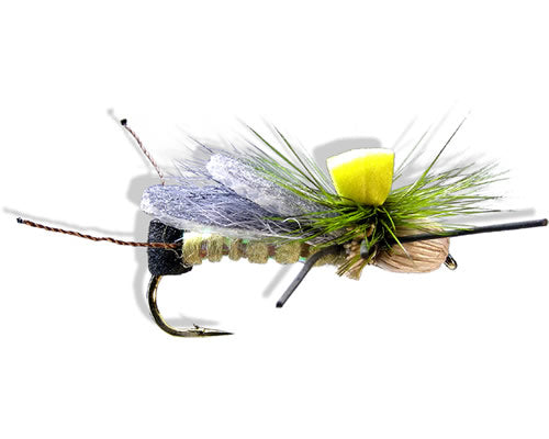 Gould's Wiggle - Skwalla
#12