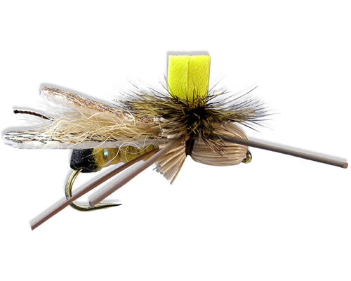 Gould's Wiggle - Golden
#8-12