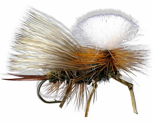 Swisher's PMX Stone - Peacock
#8-10