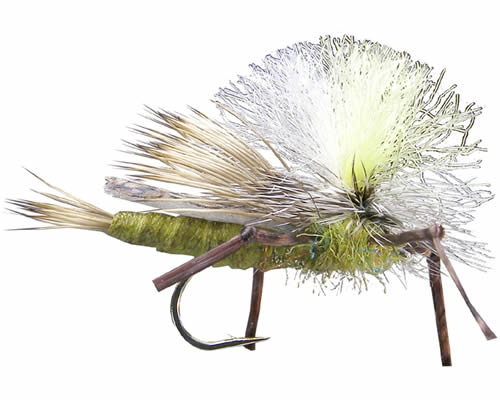 Trina's Carnage Attractor™ - Tan
#8-12