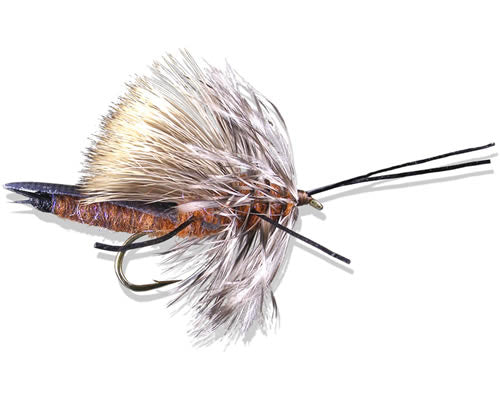 Wike's Big-R Bug - Salmon
#4-6