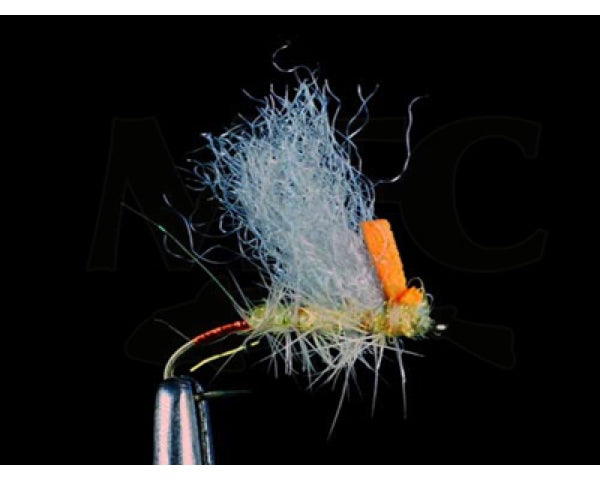 Jake's Yellow Sally #14 & #16