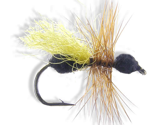 Black Flying Ant
#12-18