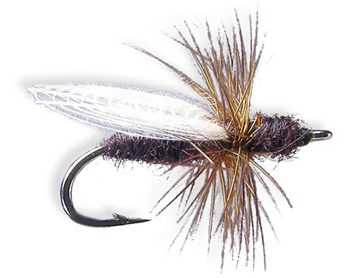 CDC Flying Ant - Black
#12-20