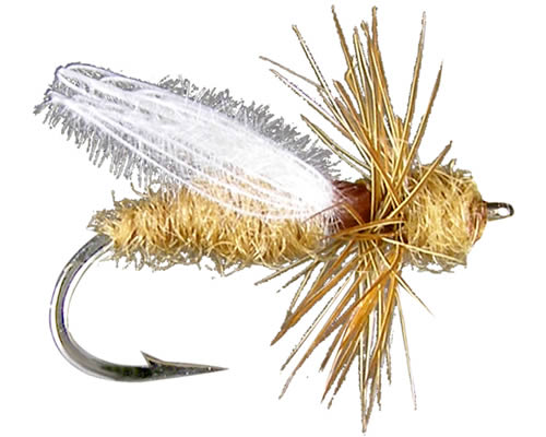 CDC Flying Ant - Cinnamon
#14-18