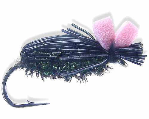 Crow Beetle
#10-18
