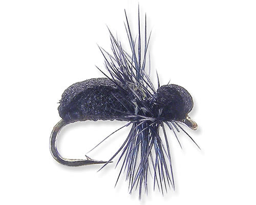 Foam Ant
#12-16