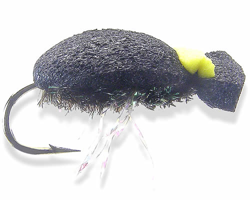 Foam Beetle
#10-18