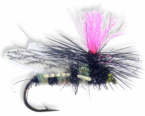 Silverman's Sparkle Bee
#12-14