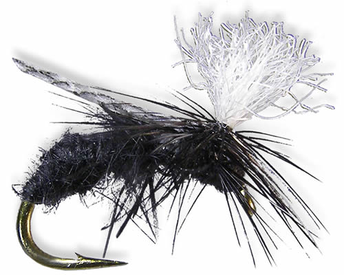 Gould's Half-Down™ Ant - Black
#14-18