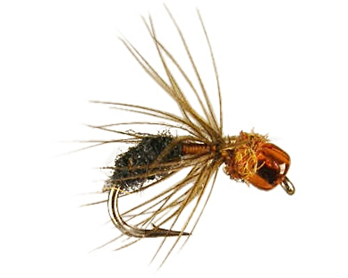 Wiese's Glass Head Ant - Red #14-16