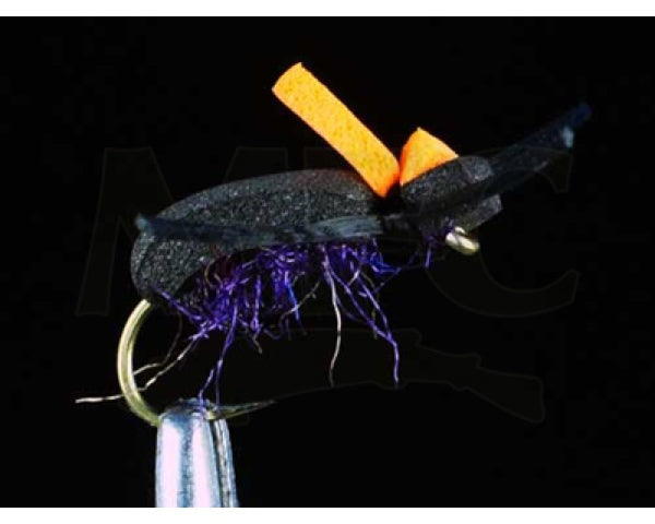 Jake's Gulp Beetle - Purple