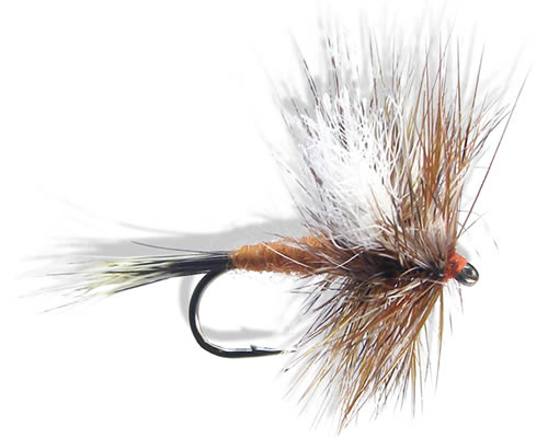 Wulff - Ausable
#10-16