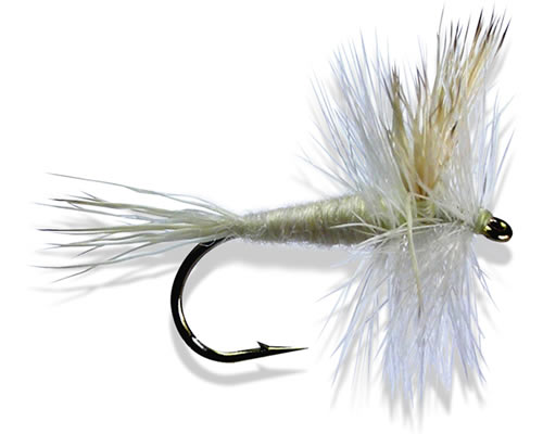 Wulff - Blonde
#10-16