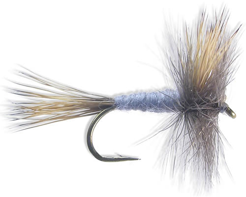 Wulff - Grey
#10-18