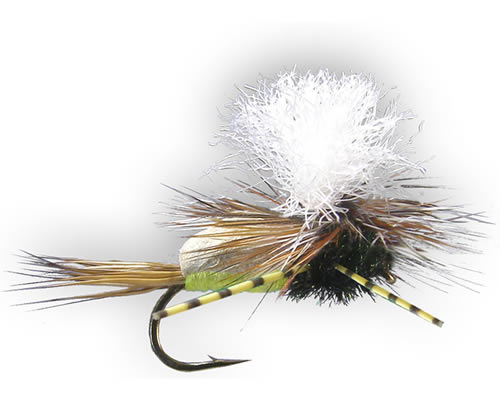 Para Humpy - Royal Yellow
#10-18