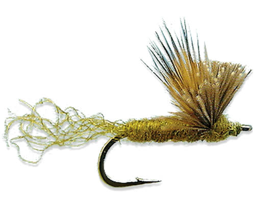 Brwr's Butthead Sparkledun - BWO
#16-20