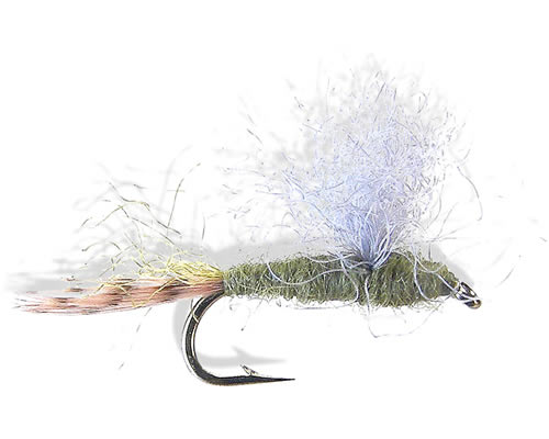 Z-Lon Sparkle Dun - BWO
#18-22