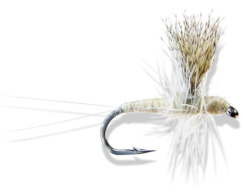 Thorax - Cahill
#12-18