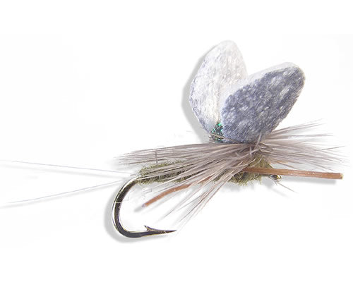 Trina's Etha-Wing Dun - BWO
#16-20