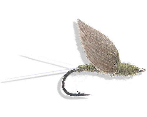 Swisher's No-Hackle - BWO
#16