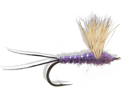 Comparadun - Purple
#12-18