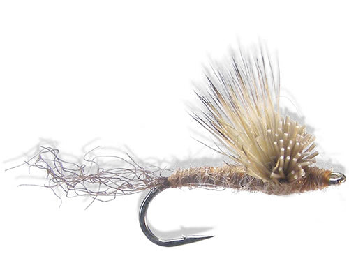 Brwr's Butthead Sparkledun - Mahogany
#14-18