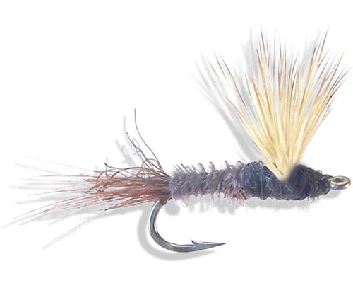 Sparkle Dun - Trico
#18-20