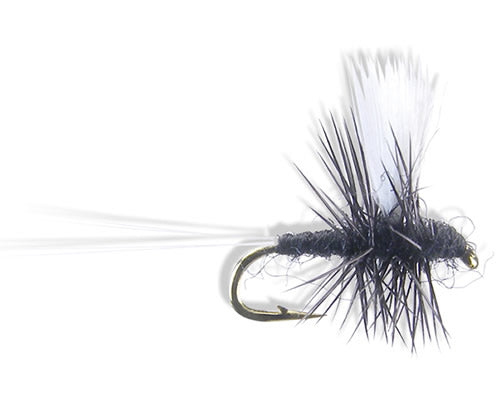 Thorax - Trico
#18-22