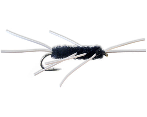 Girdle Bug - Black
