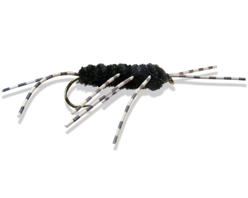 Speckled Girdle Bug - Black
#4-10