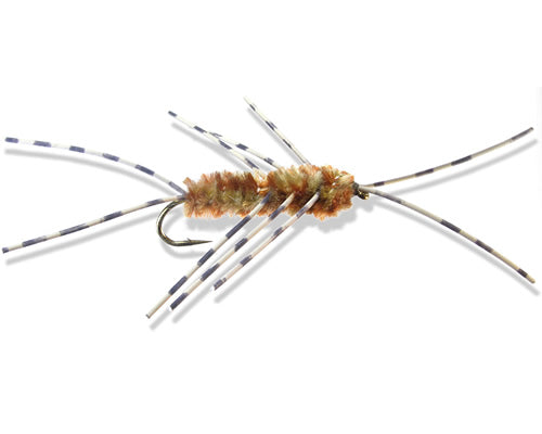 Speckled Girdle Bug - Brown
#4-10
