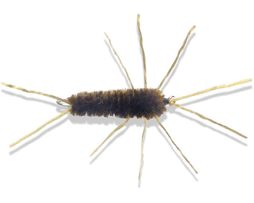 Flex-Girdle Bug - Dark Brown