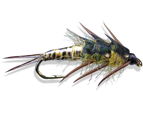 Lex's Sexy Biot Stone™ - Golden
#8-12