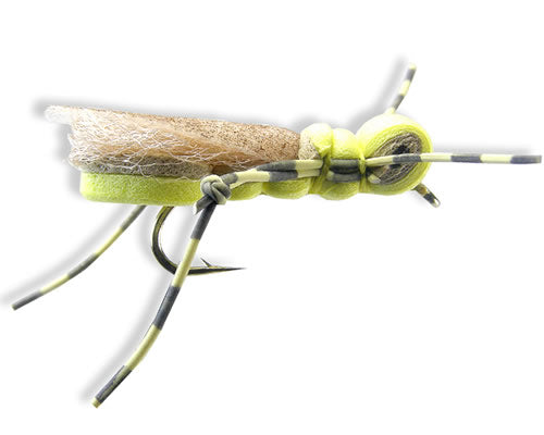 Foam Hopper - Yellow
#8-10