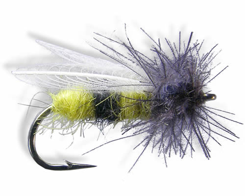 CDC Bee
#12 or 16