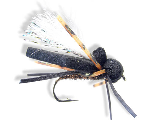 Card's Cicada
#8-12