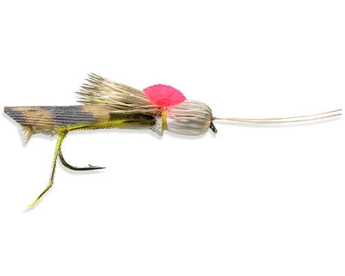 Ext Body Hopper
#10