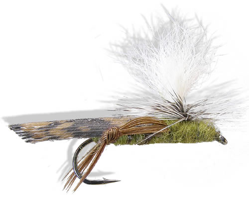 Parachute Hopper - Olive
#8-14
