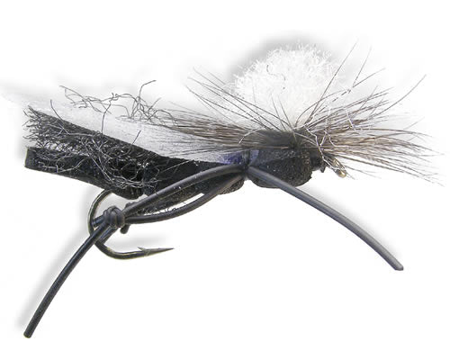 Foam Para - Cicada
#6-12