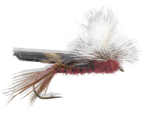 Para Hopper Burgundy
#6-12