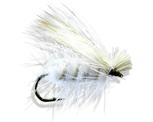 Spruce Moth
#10-14