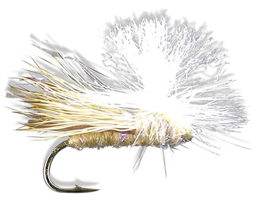Parachute Spruce Moth
#12-14
