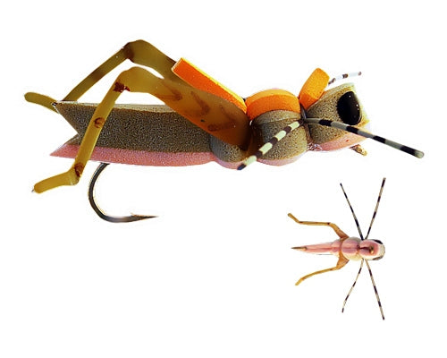 More - Or - Less Hopper - Peach